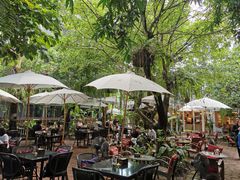 -Fern Forest Cafe