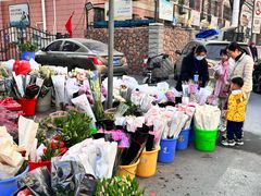 -宝鸡东道花鸟鱼虫市场(吉利花园商场店)