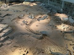 -自贡恐龙博物馆