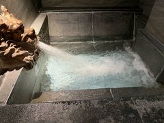 -聚春园·福龙泉澡堂(温泉店)