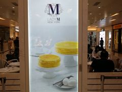 -Lady M(沙田新城市广场店)