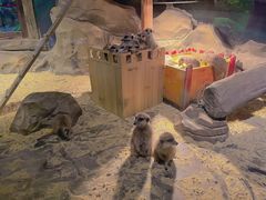 -绿色星球动物主题公园