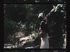 -杨家堂村