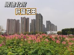 -岭南和园