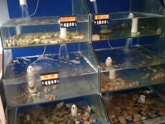 水产区-雅逸居海鲜小厨