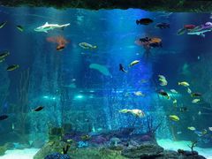 -沈阳海洋探索中心