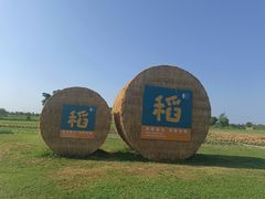 -嘉北郊野公园