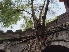 -涞滩古镇