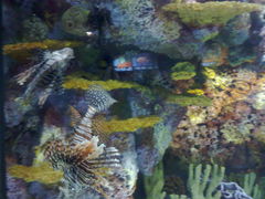 -上海海洋水族馆-停车场