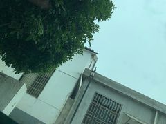 -鲨鱼皮汽车凹陷玻璃修复(静安店)