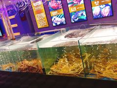 水产区-蟹之国·精品蟹料理(极地店)