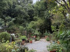 -谷咖啡·鲜花绿植花园餐厅