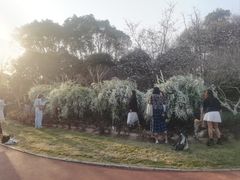 -杭州城北体育公园