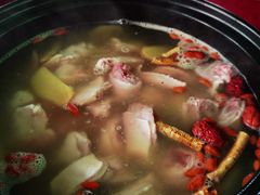 -花苑美食横琴生蚝火锅(拱北粤华路店)