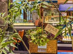 -芸山季·云南山珍菌火锅(人民广场来福士店)