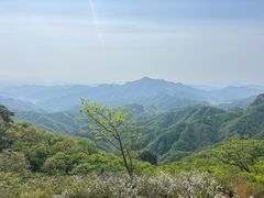 -六里坪国家森林公园