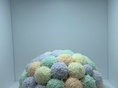 -红星前进面包牛奶公司(五道口购物中心店)