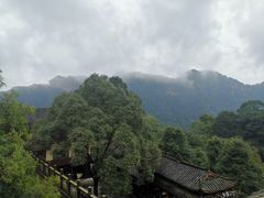 -青城山