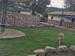 -上方山森林动物世界