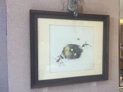 -莎丽轩护肤造型