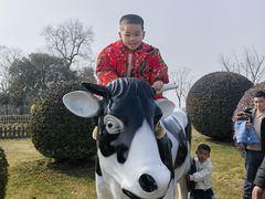 -荷兰花海