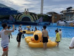 -杭州浪浪浪水公园