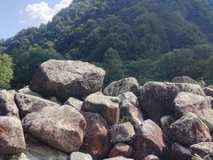 -陕西省红河谷森林公园