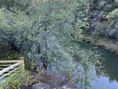 -百里山水画廊乌龙峡谷