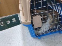 -联合动物医院(光谷诊疗中心)
