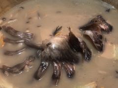 -云海肴云南菜·蒸汽石锅鱼(北京良乡华冠店)