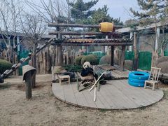 -大连森林动物园