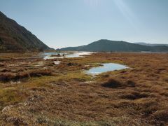 景点-腾冲北海湿地