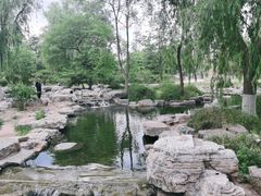-莲花池公园