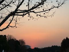 -比斯特上海购物村精品奥特莱斯