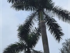 -广州市白云山风景名胜区
