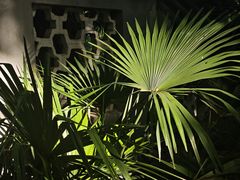 -北极阁公园