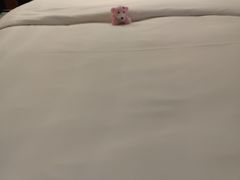 -长沙君逸康年大酒店(贺龙体育馆店)
