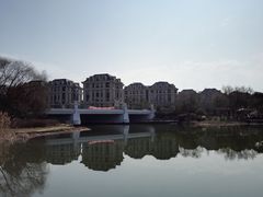 -新江湾城公园
