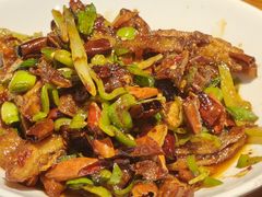 -柴窝堡22号辣子鸡·传承新疆菜