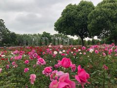 -尚贤河湿地