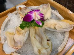 小象鼻蚌-围炉夜话·潮汕卤水火锅(榕江店)