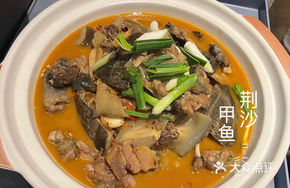 Braised Turtle with Red Sauce