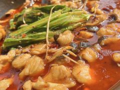 -都江堰石锅鱼