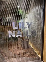 点击看大图 -LILY NAILS美甲美睫