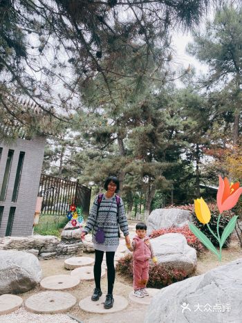 西安半个小时就可以逛完的古树,奇石,园林景观