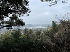 -上海佘山国家森林公园西佘山园