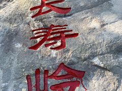 -旺角美食城(素龙店)