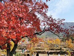 -塔川景区