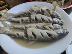-崂山水果园农家宴(泉水鸡店)