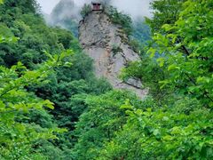 -黑河国家森林公园